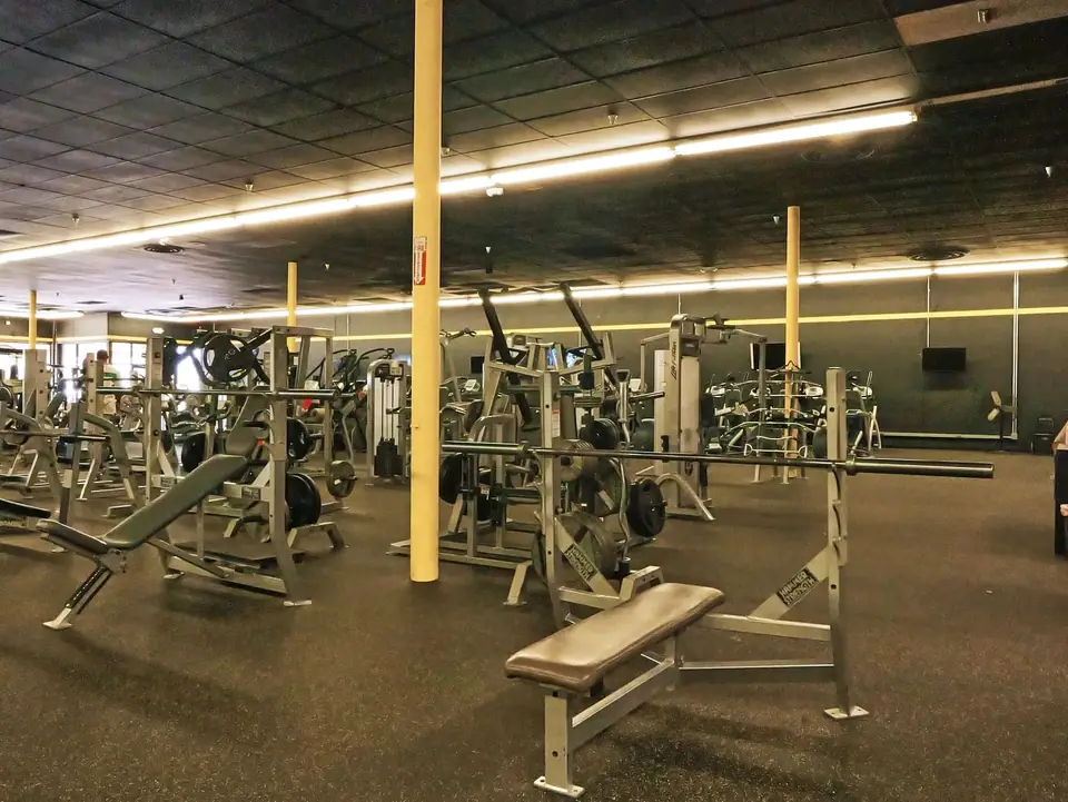Free weights and benches on the Bee Fit training floor